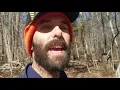 How long Cedar fence posts last