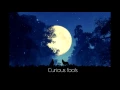 Bahari - Wild Ones (Lyrics)
