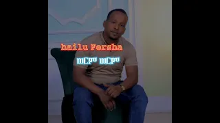 Hailu Fersha ወርም ወርም ኧዥና ይብሬ ጉራጊኛ ሙዚቃ 