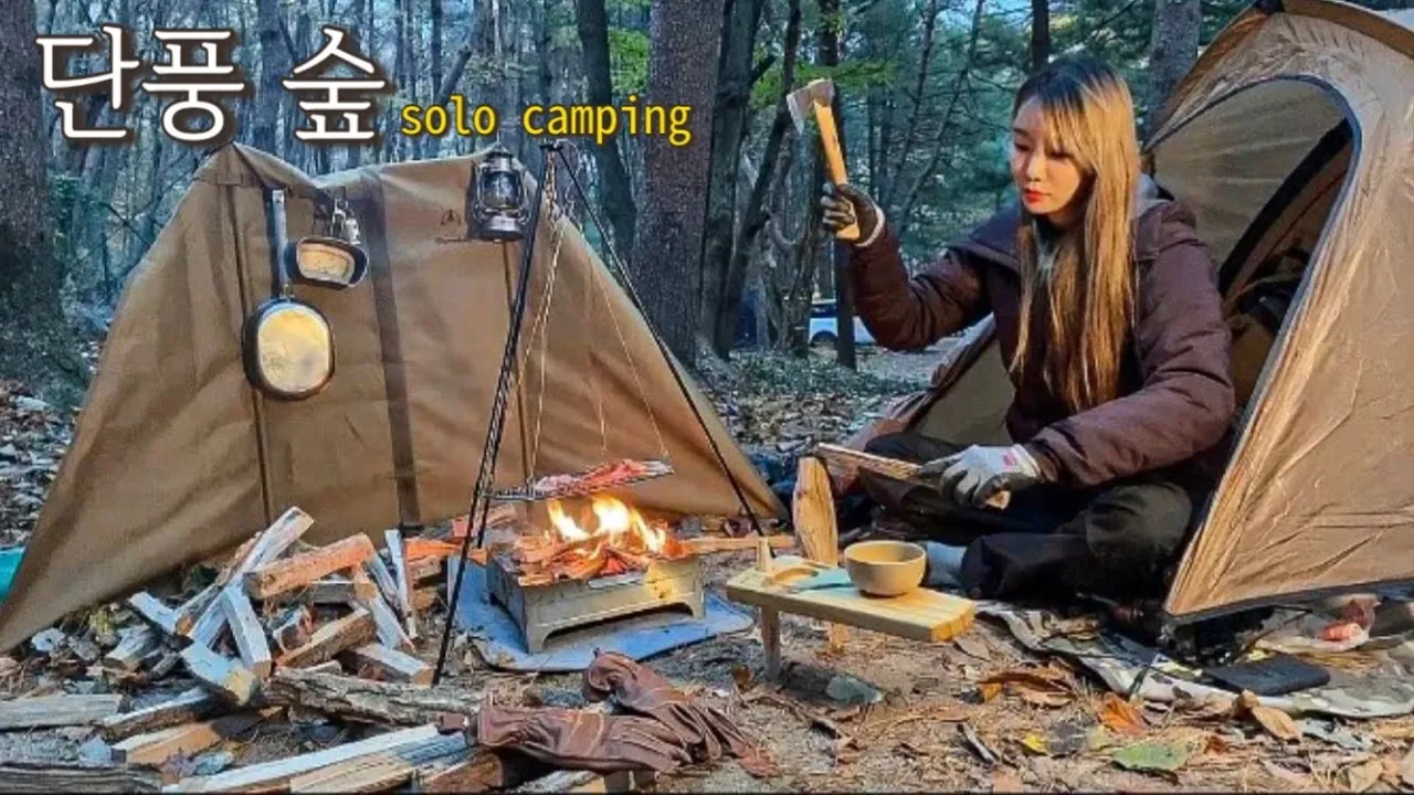 [ 솔로캠핑 ] 단풍 가을 숲에서 장작불 삼겹살에 2리터 동동주 혼술/ 새끼 들개 삼형제에게 포위/ 버스타고 떠난 속리산 단풍 캠핑 / 캠핑장추천/ 캠핑용품/ 사내리야영장 サムネイル
