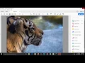Convert image formats jpg png etc to pdf using python