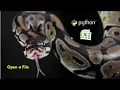 Open a File in Python File Readlines File handling File Objects