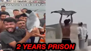 They actually took out a baby dolphin..