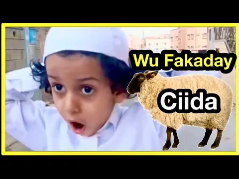 Qosol ku so Ciid👉😂 || Ciid wanaagsan