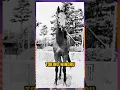Download Lagu The Phantom Horse Tokino Minoru