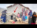 Lagu Omid Mohammad, the stepson, to please his new brother Shahin and his mother: and build a dog house.