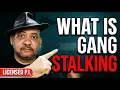 What Is Gang Stalking What a Real Investigator Looks For