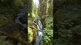 Everywhere I Look, It’s Beautiful