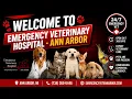Meet the Emergency Vet Team Behind Ann Arbor s Animal Hospital