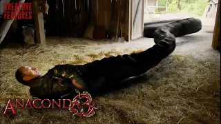 eaten alive by giant snake anaconda 3 offspring creature features