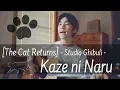 Download Lagu [Studio Ghibli] Kaze ni Naru (Ayano Tsuji)【The Cat Returns】Cover