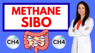 Methane SIBO: The Hidden Cause of Bloating & Constipation