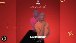fellani musical amakhwenkwe ft dj active