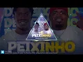 Gudilson Gd x Godzila do Game - De Peixinho ( VISUALIZER )