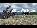 Download Lagu Waarom ik fiets: verder dan de kilometers