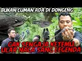 Download Lagu GAK SENGAJA MASUK KE HABITAT ULAR NAGA ENDEMIK JAWA !!  SEOLAH-OLAH MATI, TERNYATA HIDUP..