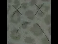 Batr Atraf
