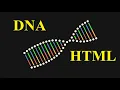 DNA Sketch Using HTML and CSS CSS Animation