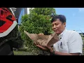 Download Lagu RANDOM VLOG SEPUTAR JUAL KOPI DAN KERJA DI BALI | BERTAHAN HIDUP DI BALI EPS.30