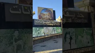 Oran وهران ديما في القلب 