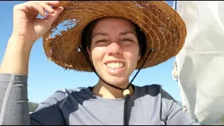 Single-Handed Sailing Silliness