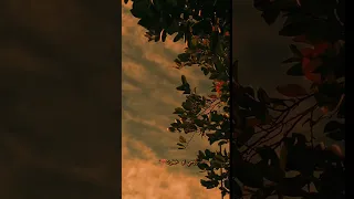 روحي لو خطرت   ياسين التهامي روعه  مدح  اكسبلور  مديح  لايك  ذكر الله  آل البيت دندنها