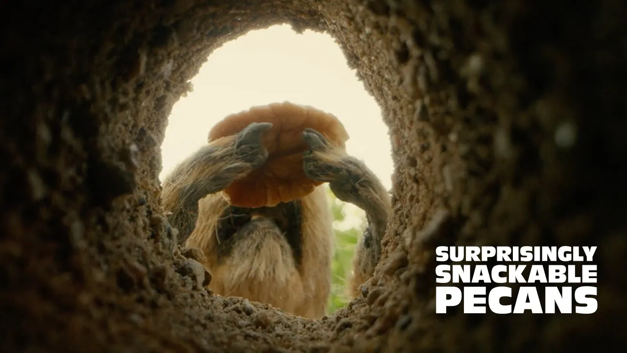 Eat Pecans — Surprisingly Snackable Pecans (YouTube video ad)
