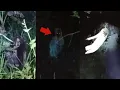Lagu Creepy Banget ! 7 Video Paling Mengerikan Yang Merekam Penampakan Hantu Terjelas Dan Seram