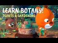 Forest Science Class Botany Bugs Animal Secrets Summer Learnings