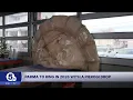 Parma prepares Pierogi Drop to ring in 2026