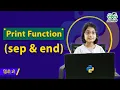 Python Programming Print Function Comma sep end
