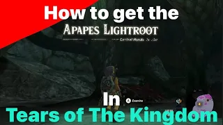 How to get the Apapes Lightroot in Tears of the Kingdom