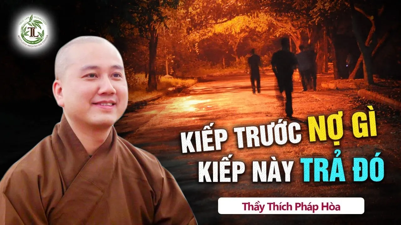6 DẤU HIỆU Nhận Biết Đang Phải Trả NGHIỆP NẶNG Từ Kiếp Trước - Thầy Thích Pháp Hòa