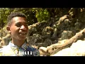 Download Lagu Lagu Papua Terbaru 2022 Pucuk Cemara di Rimba Kalasow, (Vocal Anis Kalami)