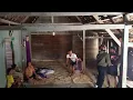 Download Lagu PRANK SUTRIS DI TANGKAP POLISI ‼️ KEJUTAN DAPAT 2 EKOR KAMBING DARI MBAK JJ ‼️