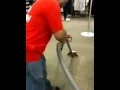 Rug Wash - NYC Kohl s Commercial Carpet Cleaning