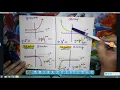 Exponential Functions Shapes
