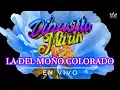 La del Moño Colorado - Dinastía Marin