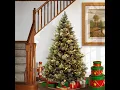 Carolina Pine Tree with Clear Lights