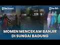 Download Lagu Momen Mencekam Banjir Di Sungai Badung, Pasar Kumbasari dan Pasar Badung Terendam Banjir