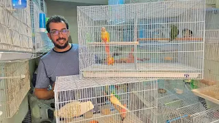 الجديد عند حمدي أجيو نتولعو ونتعرفو على أتمنة مختلف أنواع الطيور عشاق الكاترين البورك المولينا فرجة 