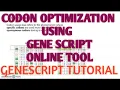 codon optimization using genescript