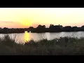 UHD Nature Relaxing Sunset by the River -  Sounds -Birdsong