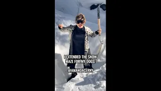 Extended the snow maze for my dogs!! #amandacerny #shorts #dogs #snow #maze