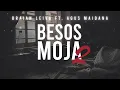 WISIN & YANDEL, ROSALIA - BESOS MOJA2 (REMIX) - Braian Leiva Ft. @agusmaidanaremix