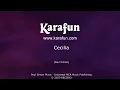 Cecilia - Simon & Garfunkel | Karaoke Version | KaraFun