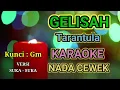 GELISAH KARAOKE (V2) HQ AUDIO STEREO || Tarantula / Camelia Malik