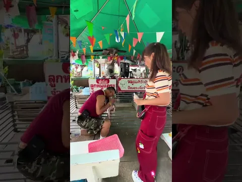 จังหวัดอื่นเหงามั้ย นครสวรรค์ก็เหงามาก😭🥹มาหาน้องกันเยอะๆนะคะ🐊