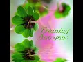 Sea, Flute Music with Nature Sounds - Training Autogeno Specialisti