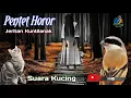 Download Lagu Masteran Pentet Materi Horor || Suara Kucing || Suara Kuntilanak